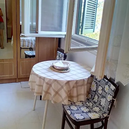 Apartment Zora Necujam